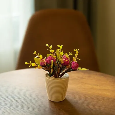 Hotel Seven Oldcity Istambul